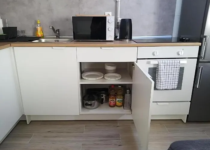 Apartment Lenchy